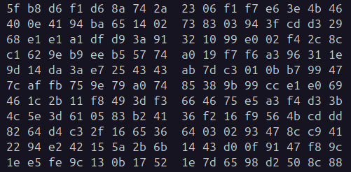 A sample of hexadecimal code from a Word file